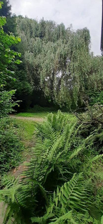 Fewo Im Naturschutzgebiet Hiddenhausen Exterior photo