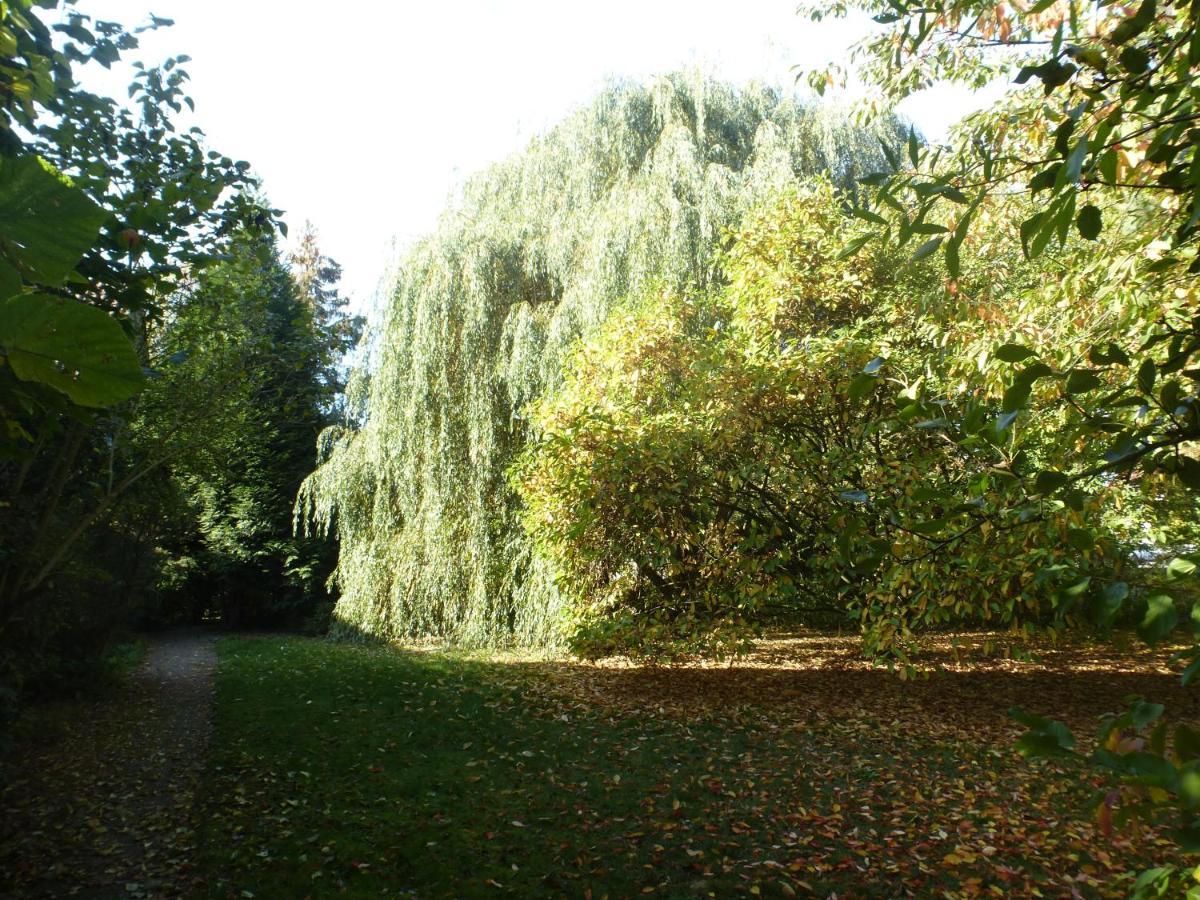 Fewo Im Naturschutzgebiet Hiddenhausen Exterior photo