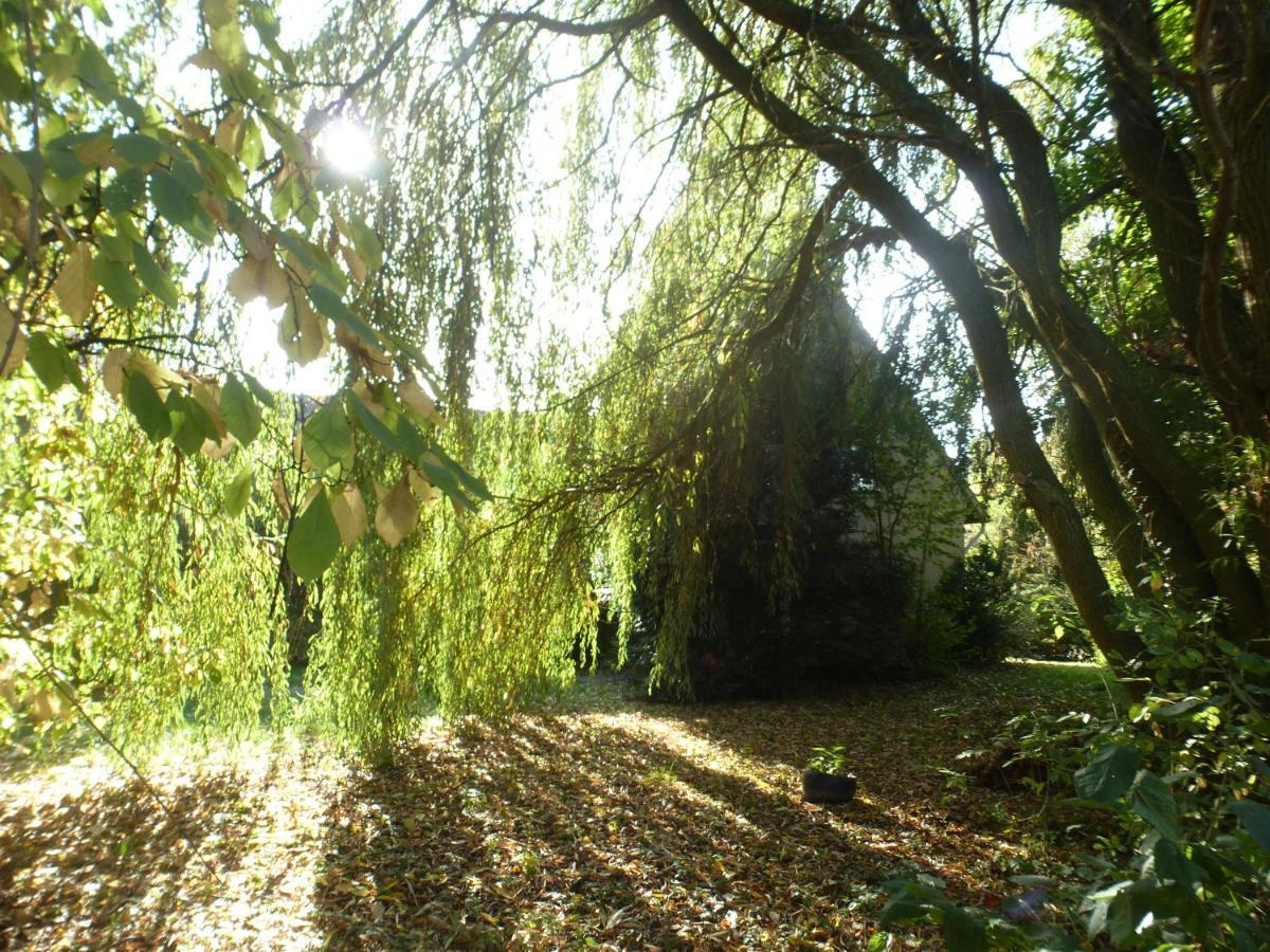 Fewo Im Naturschutzgebiet Hiddenhausen Exterior photo